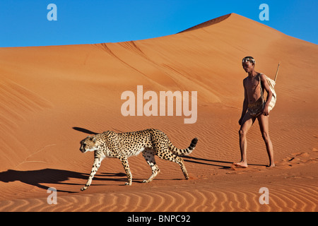San cacciatori armati di arco tradizionale e la freccia con il ghepardo Foto Stock