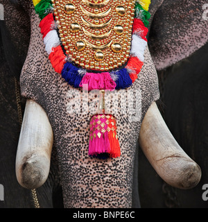 Decorate elephant presso il Tempio Tripunithura.Il tempio gli elefanti sono decorate con placcato oro gualdrappe, Campana e collane Foto Stock
