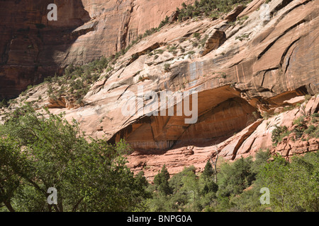 Canyon Zion National Park nello Utah, Stati Uniti d'America - canyon formazioni rocciose Foto Stock