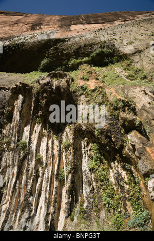 Canyon Zion National Park nello Utah, Stati Uniti d'America - pianto roccia dove le acque sotterranee perennemente Cascades. Guardando verso l'alto. Foto Stock