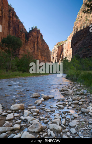 Canyon Zion National Park nello Utah, Stati Uniti d'America - il fiume vergine a valle del tempio di Sinawava gorge Foto Stock