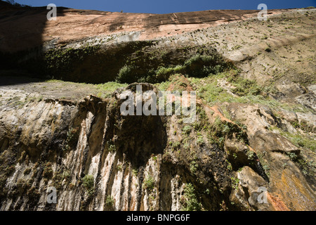 Canyon Zion National Park nello Utah, Stati Uniti d'America - pianto roccia dove le acque sotterranee perennemente Cascades. Guardando verso l'alto. Foto Stock