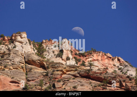 Canyon Zion National Park nello Utah, Stati Uniti d'America - red rock sorgere della luna Foto Stock