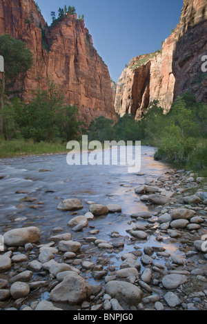 Canyon Zion National Park nello Utah, Stati Uniti d'America - il fiume vergine a valle del tempio di Sinawava gorge Foto Stock