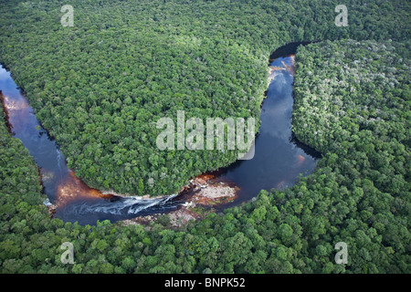 Fiumi nella foresta di pioggia sono colorate in giallo al nero dal decadimento di materia vegetale.America del Sud Foto Stock