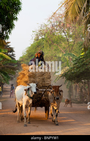 Gli agricoltori a cavallo di un bue carrello giù per una strada del villaggio - provincia di Kandal, Cambogia Foto Stock