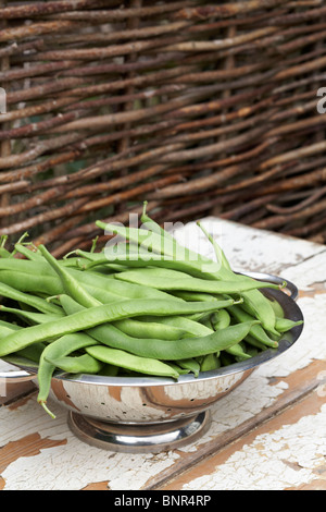 Cresciuto in casa i baccelli in metallo scolapasta Foto Stock