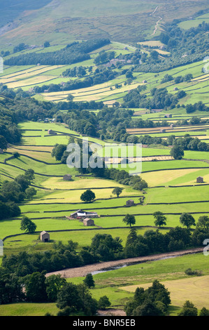 Ricerca Swaledale verso Gunnerside da Whitaside Moor. Foto Stock