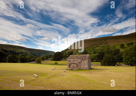 Dales fienile in appena raccolte prato, cercando Crackpot Ghyll sul fiume Swale Foto Stock