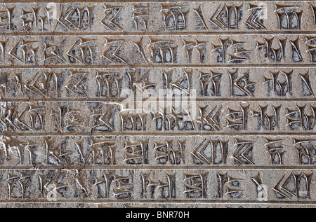 Iran - Persepoli - scolpito script cuneiformi Foto Stock