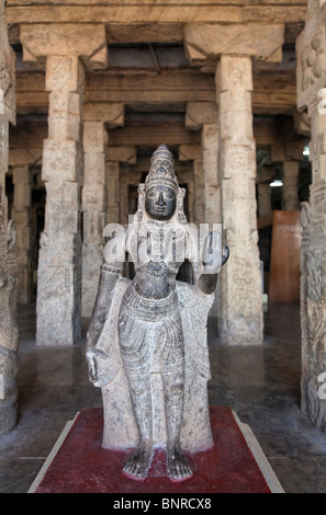 India - Tamil Nadu - Madurai - sculture all'interno del Sri Meenakshi temple Foto Stock