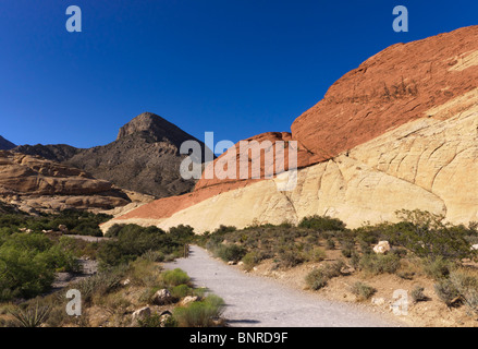 Il Red Rock Canyon a Las Vegas parco dello stato - rosso e crema di roccia arenaria strati Foto Stock