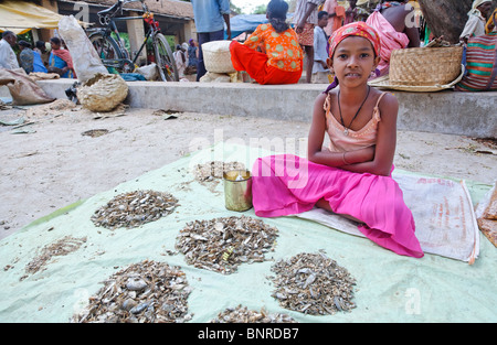 India - Orissa - tribù Dhuruba mercato - Pesci secchi per la vendita Foto Stock