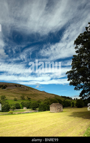 Dales fienile in appena raccolte prato, cercando Crackpot Ghyll sul fiume Swale Foto Stock