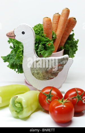 Composizione di verdure fresche con oca bianca Foto Stock