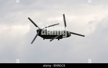 RAF Chinook DB elicottero di supporto come attualmente utilizzato in Iraq e in Afghanistan Royal Air Force di elicotteri in volo Foto Stock