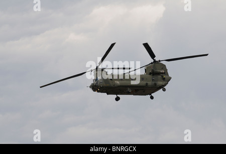 RAF Chinook DB elicottero di supporto come attualmente utilizzato in Iraq e in Afghanistan Royal Air Force di elicotteri in volo Foto Stock