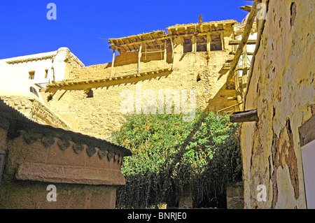 Una vista del roveto ardente dentro le mura di Santa Caterina il monastero, Il Sinai Foto Stock