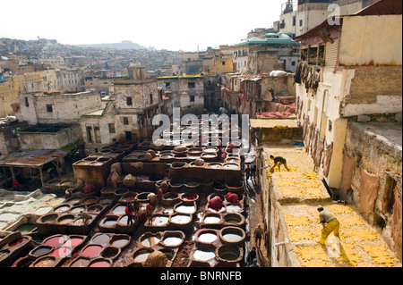 La più grande delle concerie nella Medina di Fez, Marocco Foto Stock
