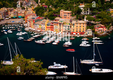 Barche schierate nella piccola cittadina portuale di Portofino Liguria Italia Foto Stock