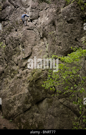 Un scalatore di piombo su una parete di roccia. Foto Stock