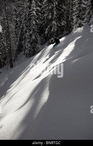 Snowboarder femmina rips untracked polvere in Colorado. Foto Stock