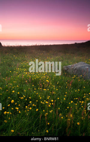 L'estate sull'isola Runde sulla Norwegian west coast. Foto Stock