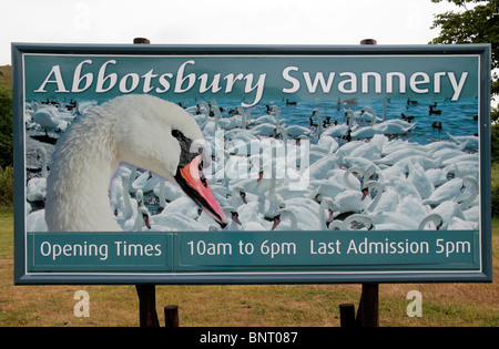 Segno a lato strada pubblicità la Abbotsbury Swannery nel Dorset, Regno Unito. Foto Stock