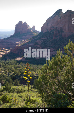 Sedona, in Arizona, Stati Uniti d'America - Vista dal Schnebly Hill Road Foto Stock