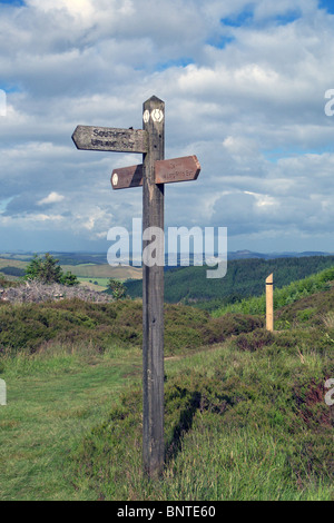 In legno dando Fingerpost diritti pubblici di modo, i tre fratelli collina nella Valle di Tweeed Forest Park Foto Stock