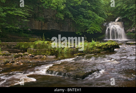 Forza calderone di West Burton, Wensleydale, North Yorkshire Foto Stock