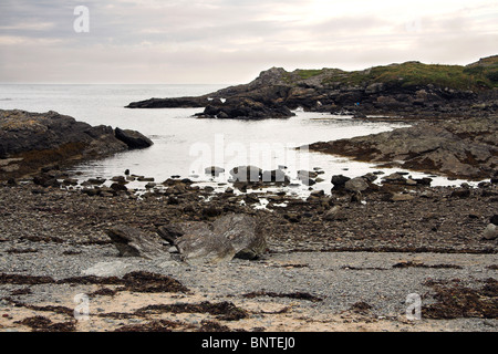 Spiaggia di ciottoli, TREARDDUR BAY, Anglesey, Galles del Nord, Regno Unito Foto Stock