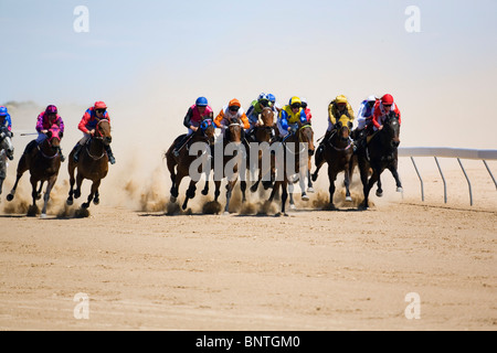 Le corse di cavalli in un outback a Birdsville le gare di coppa. Birdsville, Queensland, Australia. Foto Stock