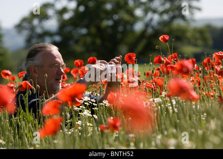 Uomo di fotografare il mare di papaveri in un campo nello Shropshire, 2010. Foto Stock