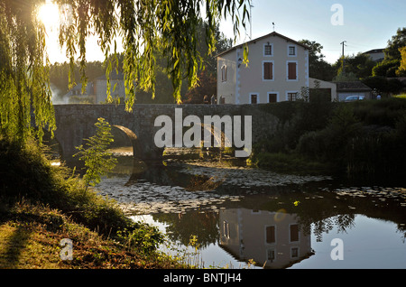 Fiume Thouet riflessioni Deux-Sevres Parthenay Francia Foto Stock