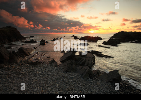 Hartland Quay, North Devon, Inghilterra, Regno Unito Foto Stock