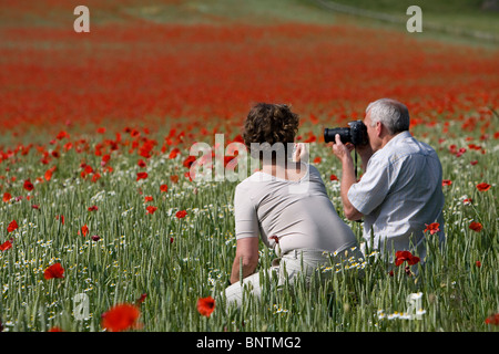 La gente di fotografare i papaveri in un campo vicino a Lyth Hill, Shropshire. Giugno 2010. Foto Stock