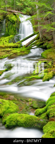 Big Spring Creek di muschio con rocce e cascate. Gifford Pinchot National Forest, Washington. Foto Stock