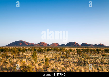 Vista su tutta la pianura spinifex a Kata Tjuta (l'Olgas). Uluru-Kata Tjuta National Park, il Territorio del Nord, l'Australia. Foto Stock