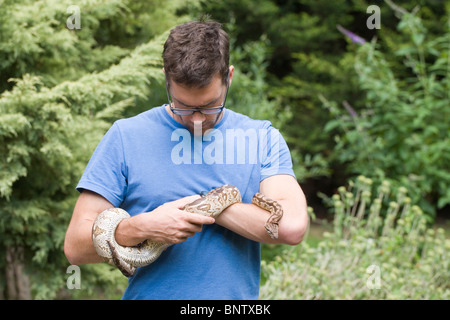 Di Dumeril Boa (Boa dumerilli). Uomo di contenimento di animali vivi. Foto Stock