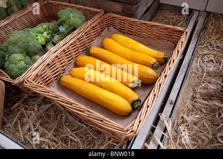 Zucchine giallo(zuccini) nel cestello al mercato degli agricoltori Foto Stock