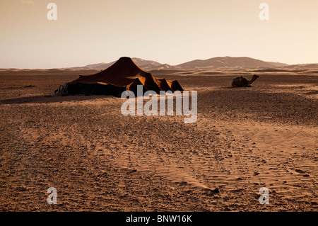 Deserto del Sahara vicino Erfoud con Erg Chebbi oltre, mostrando tenda e cammello (dromedario) nel villaggio del deserto Nero, regione di Drâa-Tafilalet, Marocco orientale Foto Stock