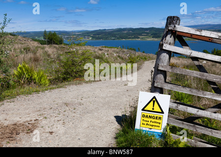 Pericolo - abbattimento degli alberi in segno di progresso sulla via forestale Foto Stock