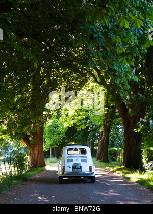 Un 1969 500 Fiat Cinquecento la guida lungo un viale alberato in Cotswolds, Gloucestershire, Inghilterra, Regno Unito. Foto Stock