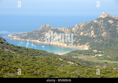 La CORSICA. Yacht e navi da crociera NELLA BAIA DI BONIFACIO Foto Stock