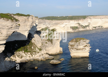 La CORSICA. Yacht e navi da crociera NELLA BAIA DI BONIFACIO Foto Stock