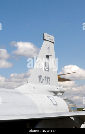 Costruito cinese Pakistan Air Force JF17 Thunder degli aerei da caccia a Farnborough International Air Show 2010 Gran Bretagna Foto Stock