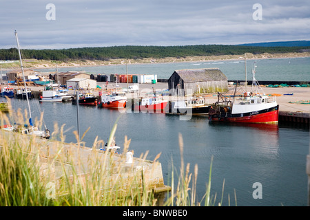 Barche da pesca in Burghead Harbour, vicino al Elgin, murene, Scozia Foto Stock