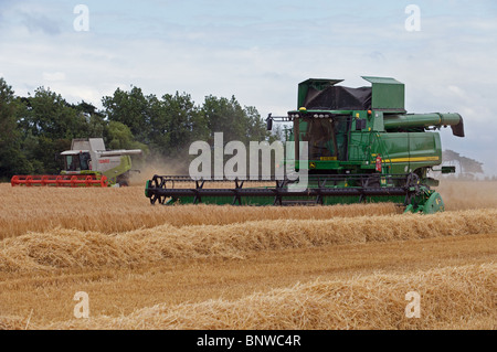 John Deere serie S690i e Claas Lexion 570 Mietitrebbia lavora all'unisono il taglio di un campo di grano Foto Stock