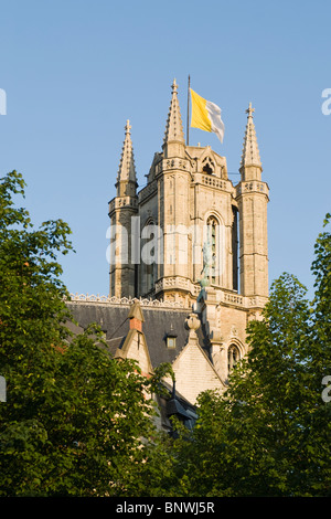 Belgio, Gand, St Bavos cattedrale, Sint Baafskathedraal Foto Stock